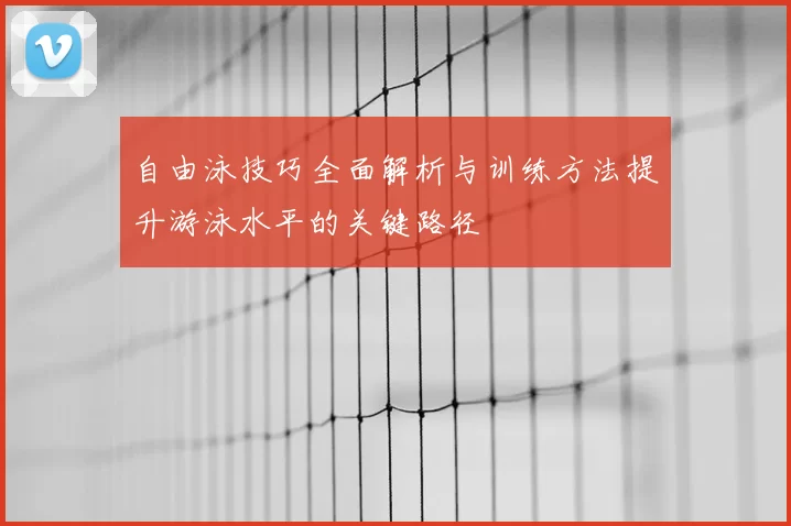 自由泳技巧全面解析与训练方法提升游泳水平的关键路径