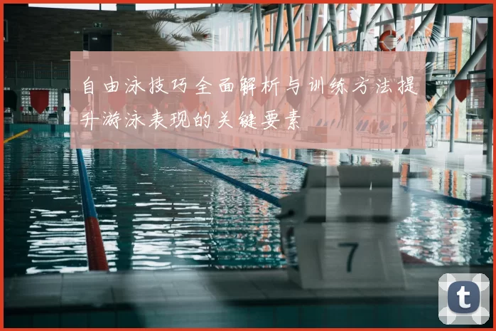 自由泳技巧全面解析与训练方法提升游泳表现的关键要素