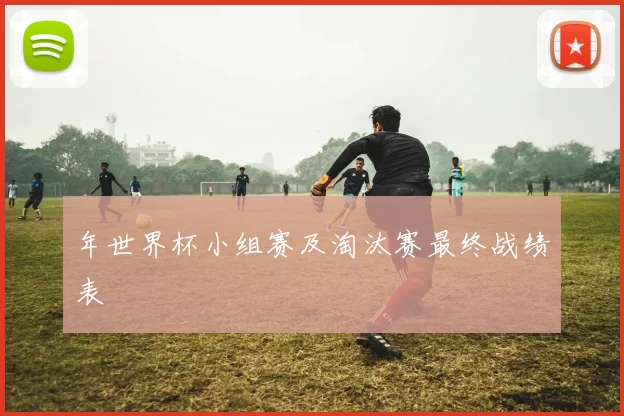 年世界杯小组赛及淘汰赛最终战绩表
