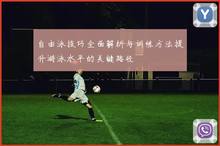自由泳技巧全面解析与训练方法提升游泳水平的关键路径