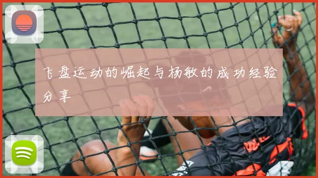 飞盘运动的崛起与杨敏的成功经验分享
