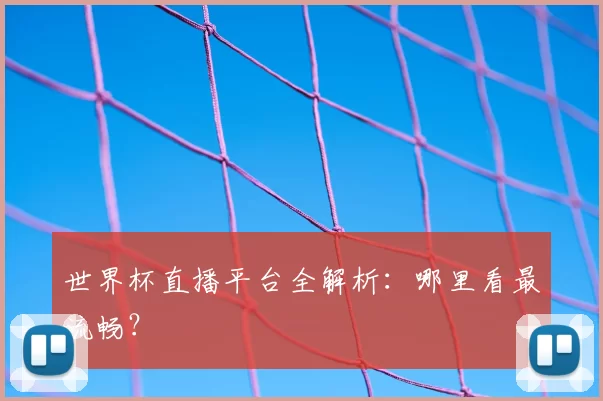 世界杯直播平台全解析：哪里看最流畅？