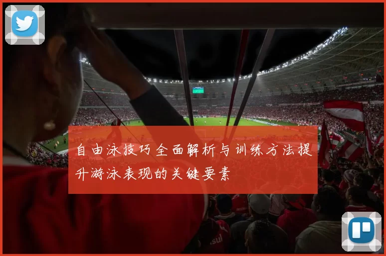 自由泳技巧全面解析与训练方法提升游泳表现的关键要素