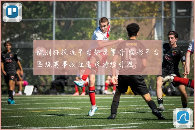 欧洲杯投注平台热度攀升 购彩平台围绕赛事投注需求持续升温
