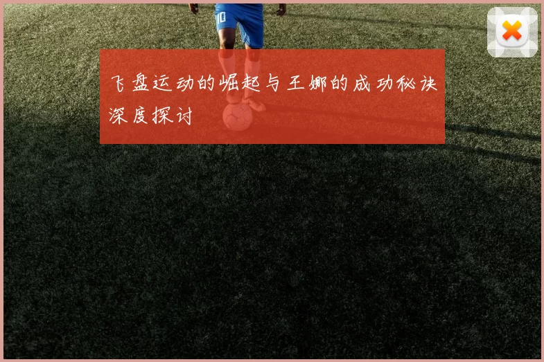 飞盘运动的崛起与王娜的成功秘诀深度探讨