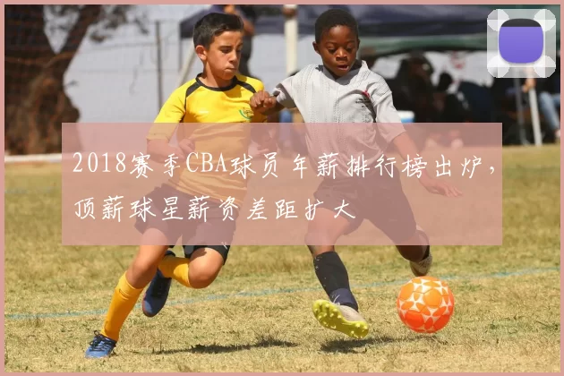2018赛季CBA球员年薪排行榜出炉，顶薪球星薪资差距扩大
