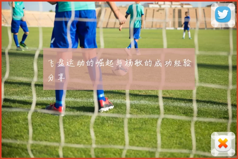 飞盘运动的崛起与杨敏的成功经验分享