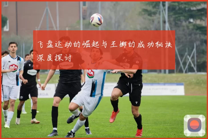 飞盘运动的崛起与王娜的成功秘诀深度探讨